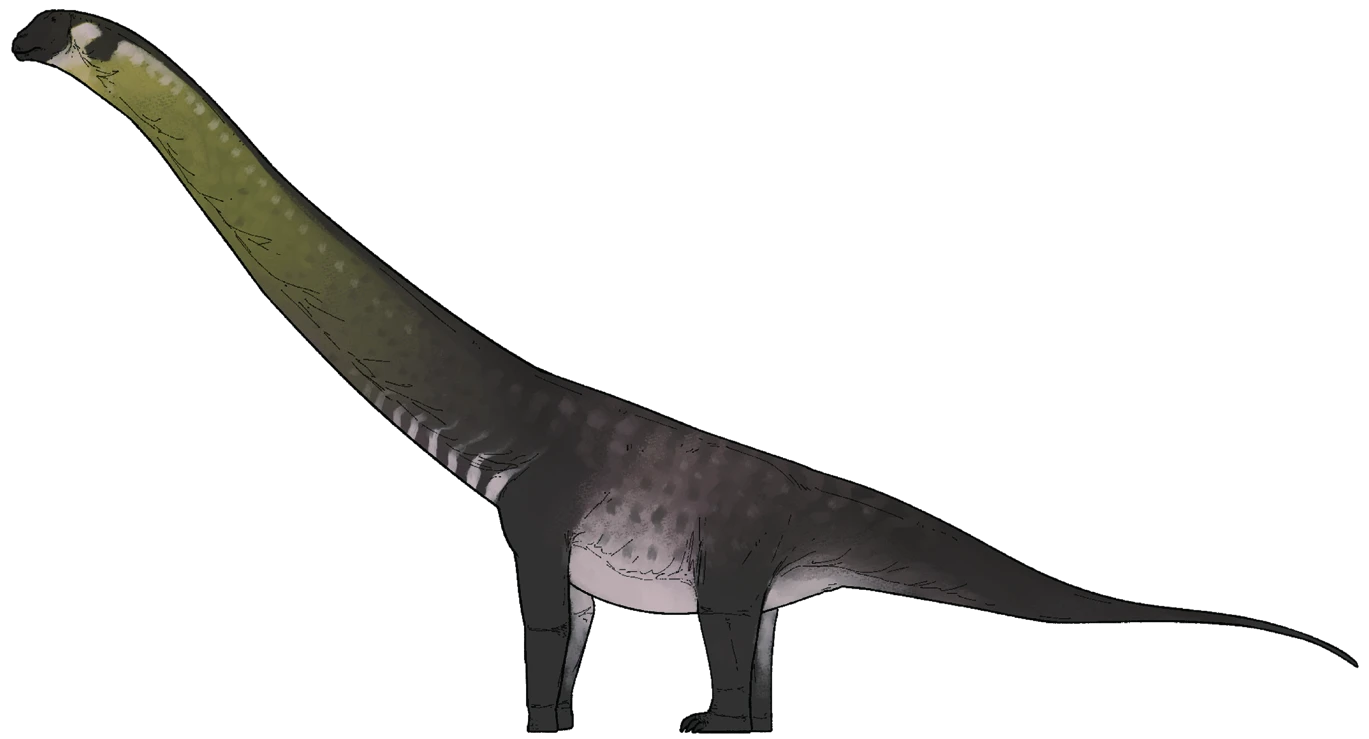 Under the Dirt! A Giant New Dinosaur Is Found in Brazil - Science
