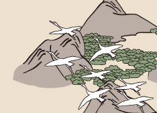 Why Do Birds Migrate South? - Science